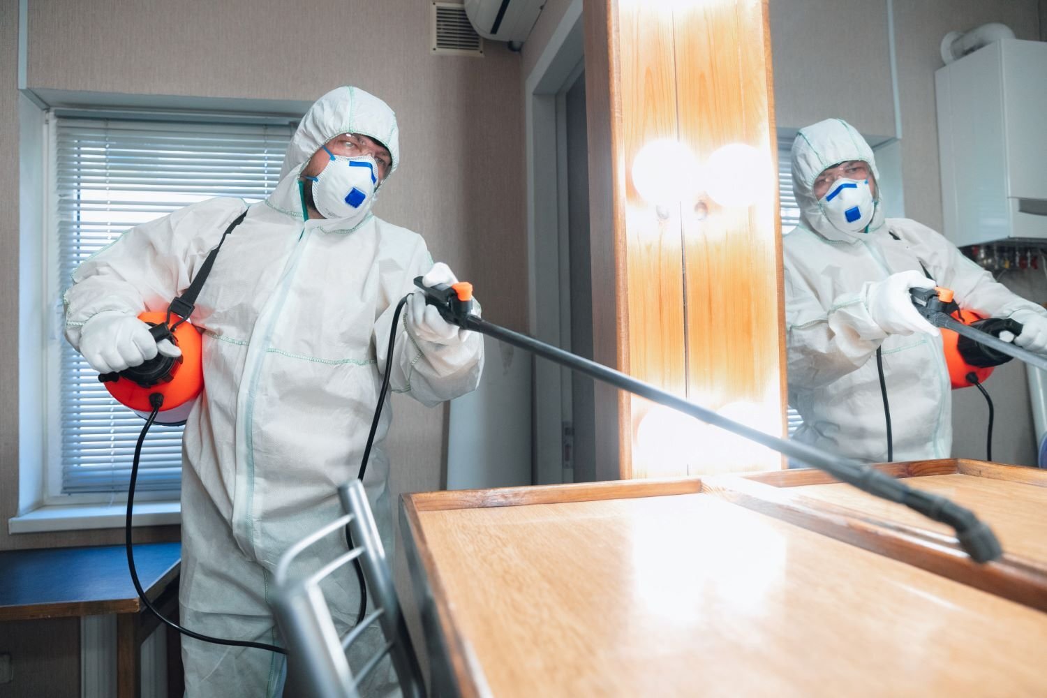 Pest Control Services: Your Reliable Source for Professional Pest Management