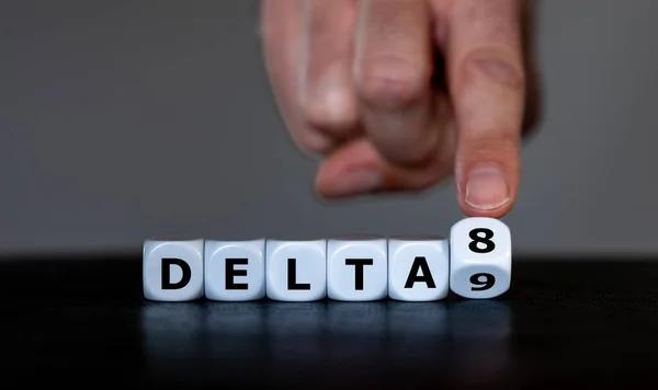 Expert Insights: Choosing the Best Delta 8 Brands for You