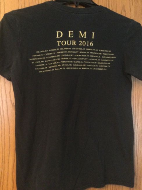 Demi Lovato Shop Spotlight: A Fan’s Guide to the Best Official Merchandise
